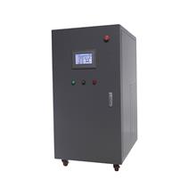 100G PLC Ozone Generator for Aquaculture Water Disinfection